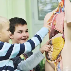 Biologia praca po studiach: najlepsze możliwości zatrudnienia i kariery