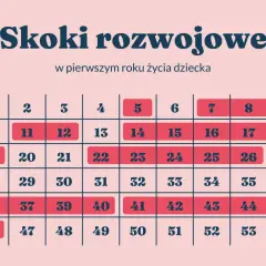 Tabela z tygodniami życia niemowlęcia i zaznaczonymi skokami rozwojowymi.