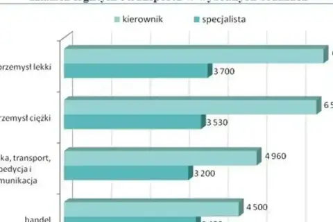 Zarobki logistyków po studiach: specjalista w handlu zarabia 3400 zł, w przemyśle lekkim 3700 zł. Kierownik w handlu zarabia 4500 zł, w przemyśle lekkim 6500 zł.