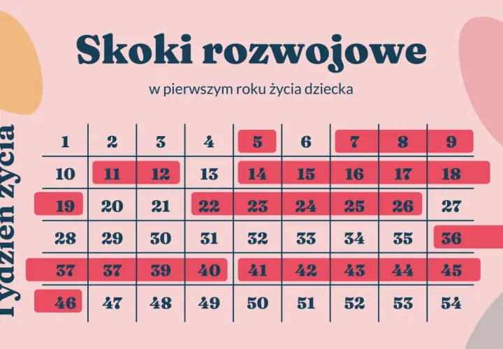 Tabela z tygodniami życia niemowlęcia i zaznaczonymi skokami rozwojowymi.