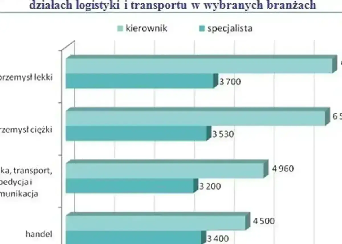 Zarobki logistyków po studiach: specjalista w handlu zarabia 3400 zł, w przemyśle lekkim 3700 zł. Kierownik w handlu zarabia 4500 zł, w przemyśle lekkim 6500 zł.